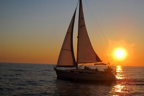 Bari: Half-Day Sailing Cruise along the Pugliese Coast