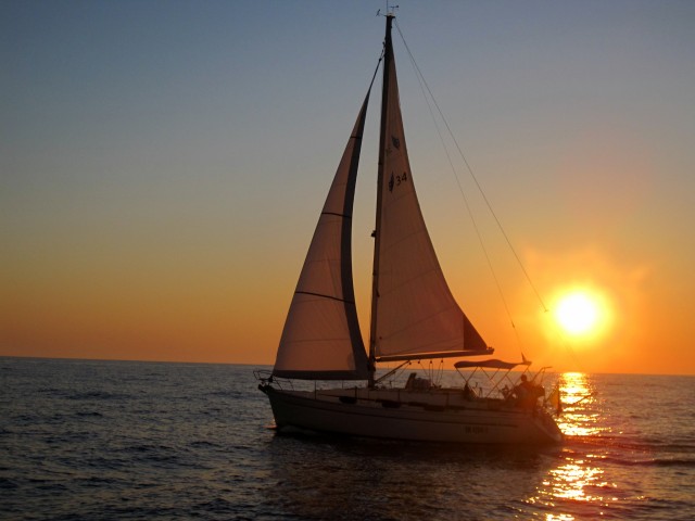 Visit Bari Half-Day Sailing Cruise looking for dolphins in Puglia