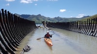 Christchurch, Sea Kayaking Tour of Lyttelton Harbour - Housity