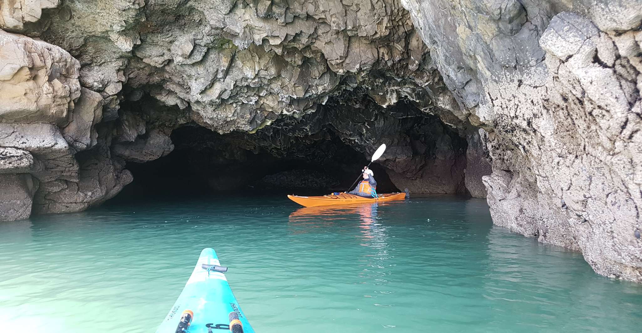 Christchurch, Sea Kayaking Tour of Lyttelton Harbour - Housity