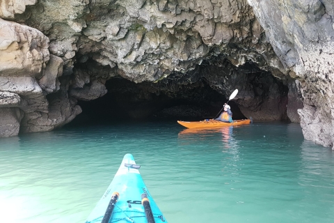 Christchurch: Sea Kayaking Excursion Private Tour