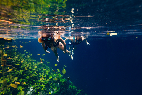 4 Cenotes Tour guidato con cibo e bevande