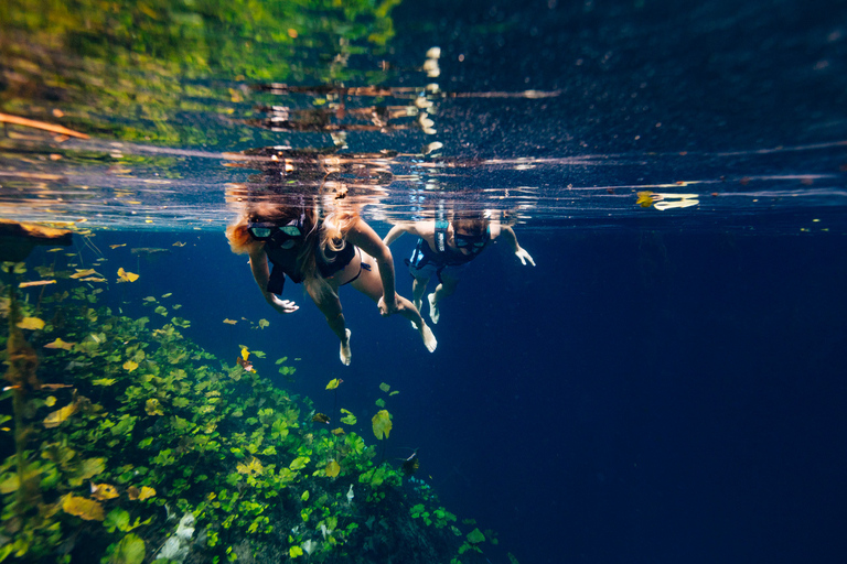 4 Cenotes Guided Tour with Food &amp; Beverages