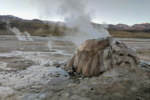 San Pedro de Atacama: El Tatio Geysire TourSan Pedro de Atacama: Tour zu den Geysiren von El Tatio