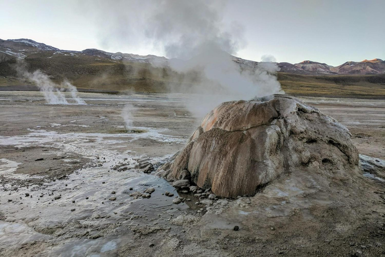 San Pedro de Atacama: Excursión a los Géiseres del TatioSan Pedro de Atacama: tour de los géisers de El Tatio