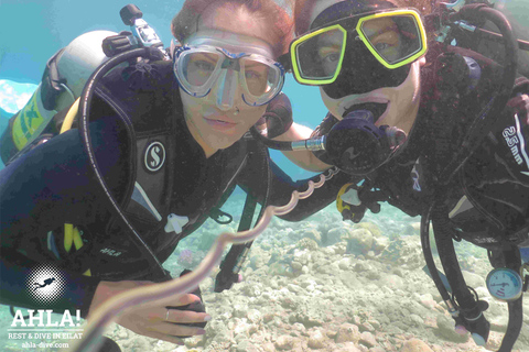 Eliat: Curso PADI Discover Scuba Diving com InstrutorEliat: Intro Scuba Diving com Instrutor