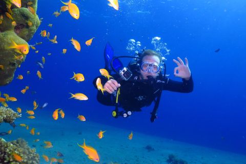 Eliat: Introduzione alle immersioni subacquee