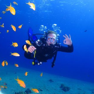 Eliat: Introduction to Scuba Diving