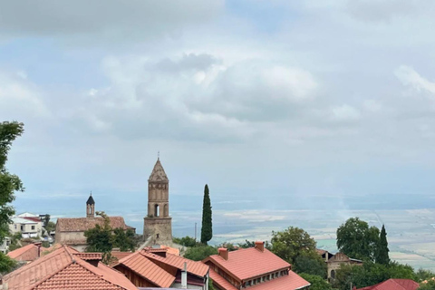 Tbilisi: Discover Georgia in 6 Days – All-Inclusive Tours ✅