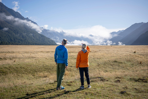 From Te Anau: Milford Sound Cruise & Key Summit Hike
