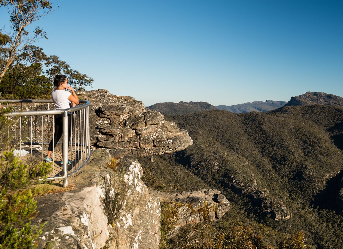 Fra Melbourne: Grampians National Park Bushwalking Tour