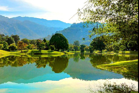 Penang: Cameron Highlands 3D2N Trip Private Group Tour