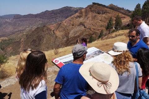 Gran Canaria: Customized Private Small-Group Tour