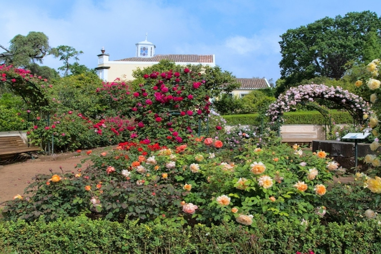 Madeira: visita guiada privada de medio día a los jardines de PalheiroTour con recogida en Funchal