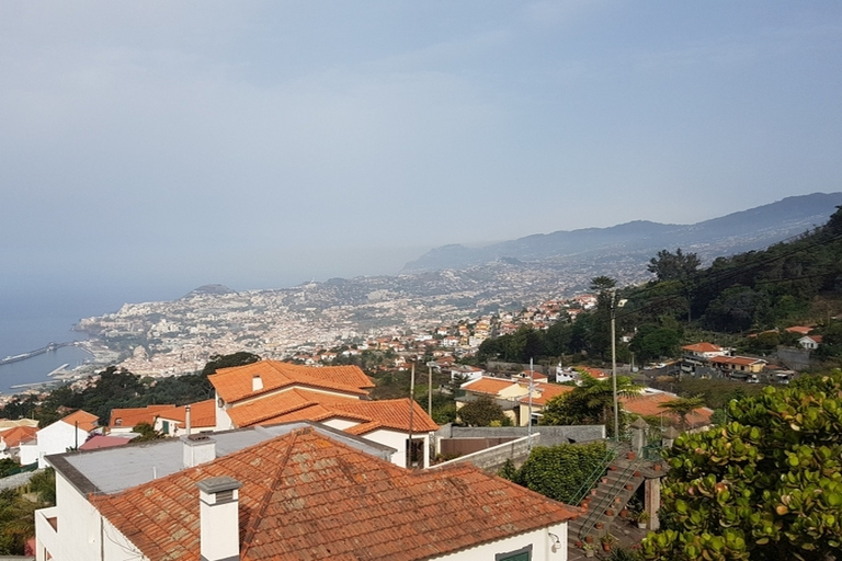 Madeira: visita guiada privada de medio día a los jardines de PalheiroTour con recogida en Funchal