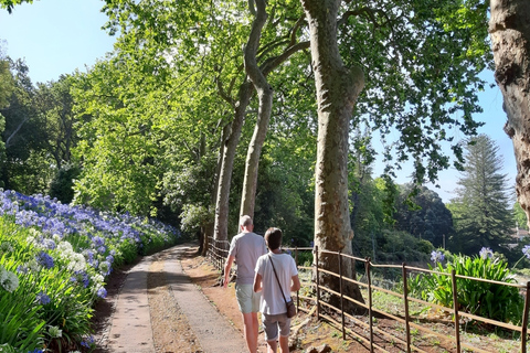 Madeira: visita guiada privada de medio día a los jardines de PalheiroTour con recogida en Funchal