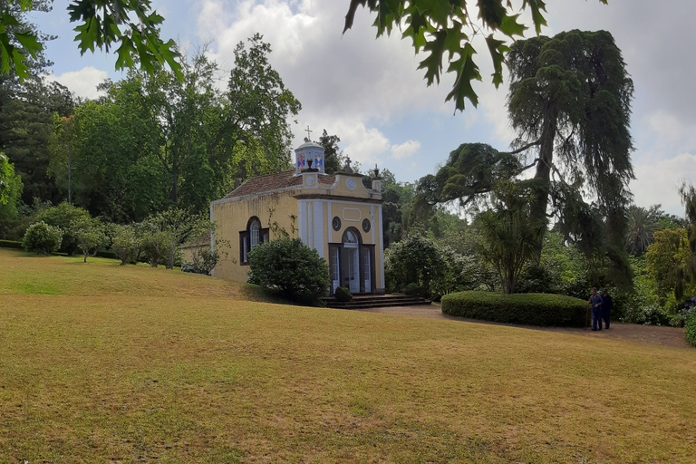 Madeira: visita guiada privada de medio día a los jardines de PalheiroTour con recogida en Funchal