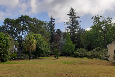 Madeira: visita guiada privada de medio día a los jardines de PalheiroTour con recogida en Funchal