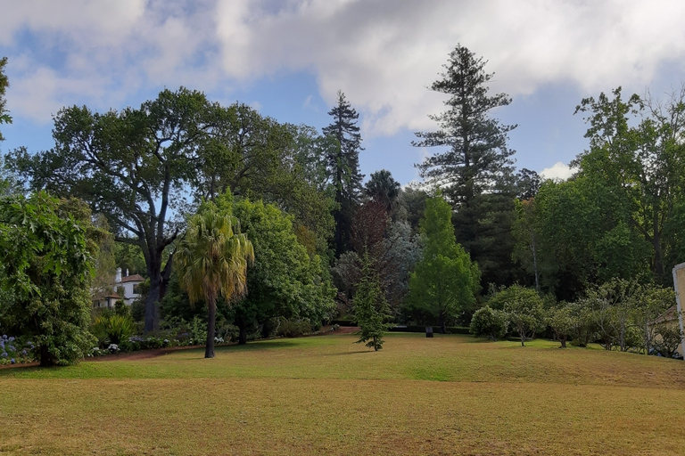 Madeira: visita guiada privada de medio día a los jardines de PalheiroTour con recogida en Funchal