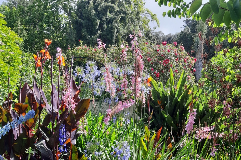 Madeira: visita guiada privada de medio día a los jardines de PalheiroTour con recogida en Funchal