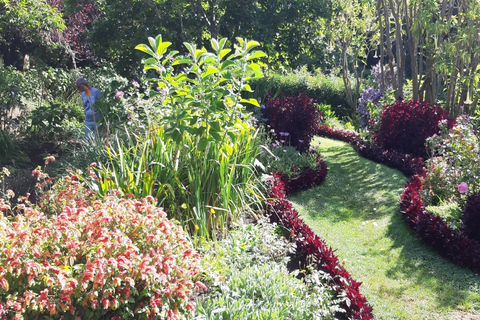 Madeira: visita guiada privada de medio día a los jardines de PalheiroTour con recogida en Funchal