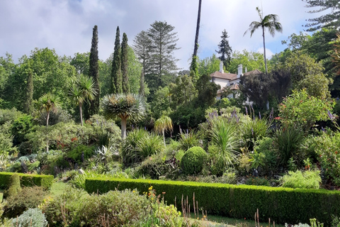 Madeira: visita guiada privada de medio día a los jardines de PalheiroTour con recogida en Funchal