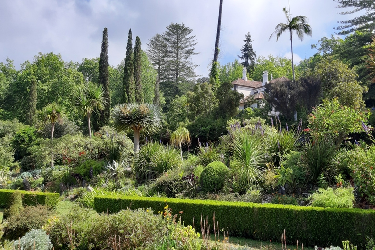 Madeira: visita guiada privada de medio día a los jardines de PalheiroTour con recogida en Funchal