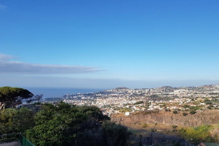 Madeira: Private Half-Day Guided Gardens Tour Funchal/Caniço/Cma lobos pick up