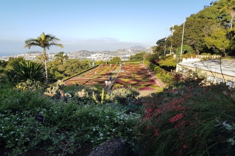 Madeira: Visita Guiada Privada de Medio Día a los JardinesFunchal/Caniço/Cma lobos recogida