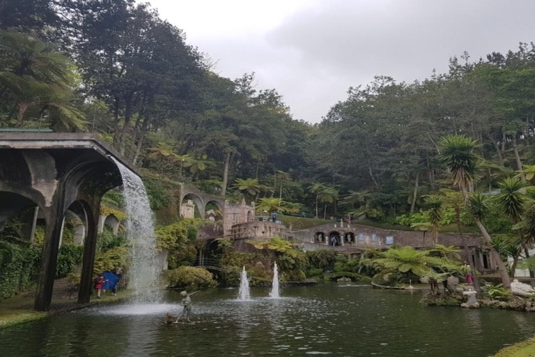 Madeira: Private Half-Day Guided Gardens Tour Funchal/Caniço/Cma lobos pick up
