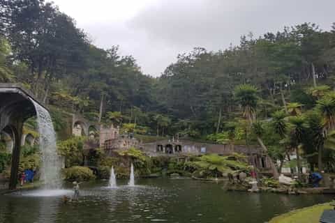 Madeira: Private Half-Day Guided Gardens Tour