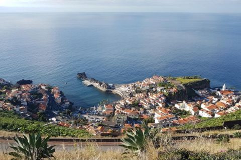 Funchal: Half-Day South Madeira Island Private Tour