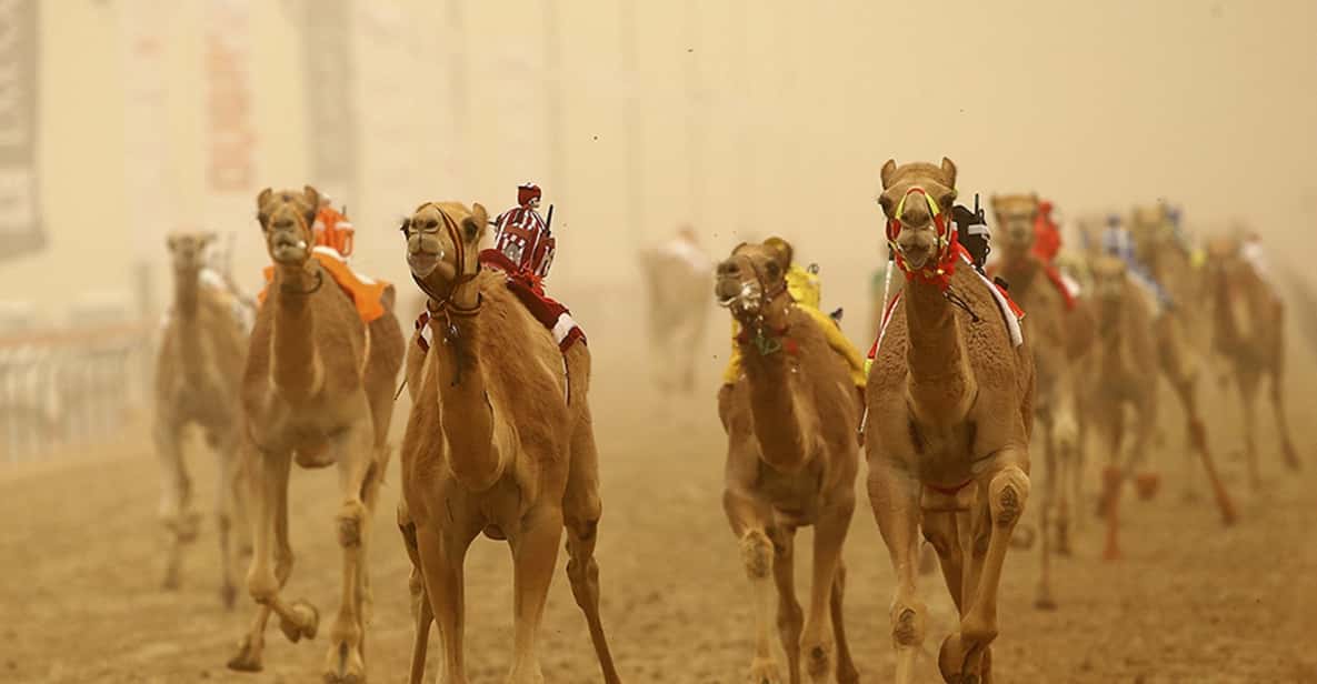 From Abu Dhabi: Al Ain Full Day Tour with Lunch