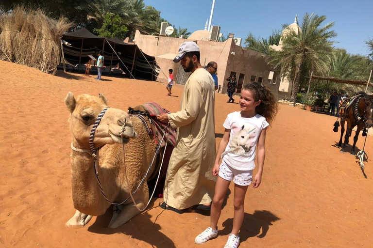 Desde Dubai: Excursión de un día a Al Ain con almuerzoRecorrido en base compartida