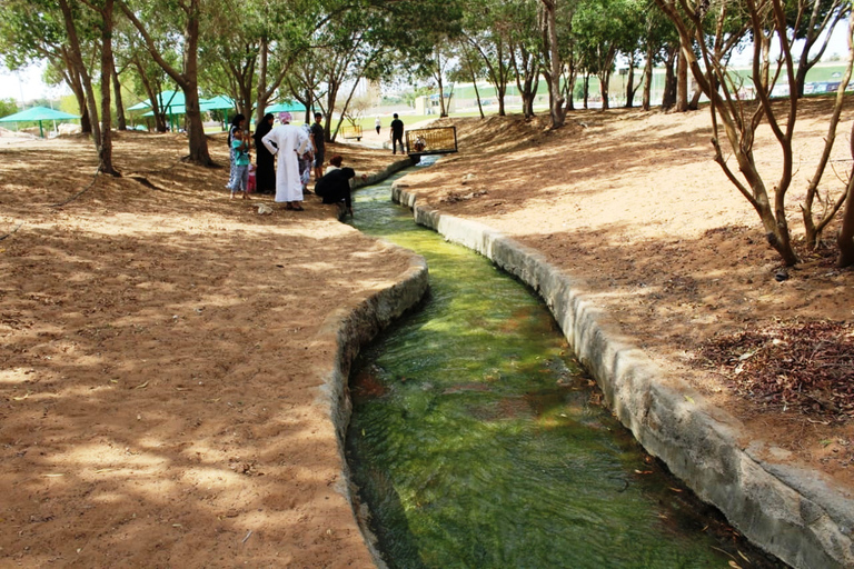 Desde Dubai: Excursión de un día a Al Ain con almuerzoRecorrido en base compartida