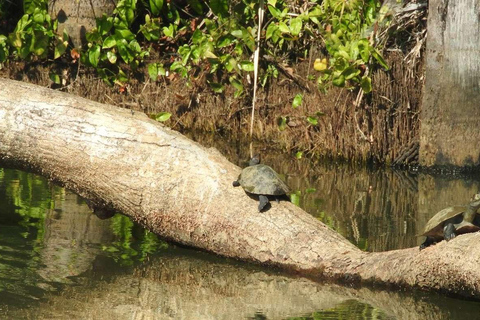 Circuit Tambopata 3 jours