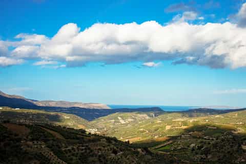 Heraklion: tour privato di degustazione di vini