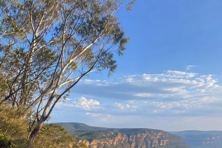Sydney: Blue Mountains In-depth Tour with Scenic World Ride Meeting Point Pickup and Ferry Return