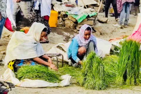 Visite de la ville d'Addis-AbebaVisite guidée en anglais