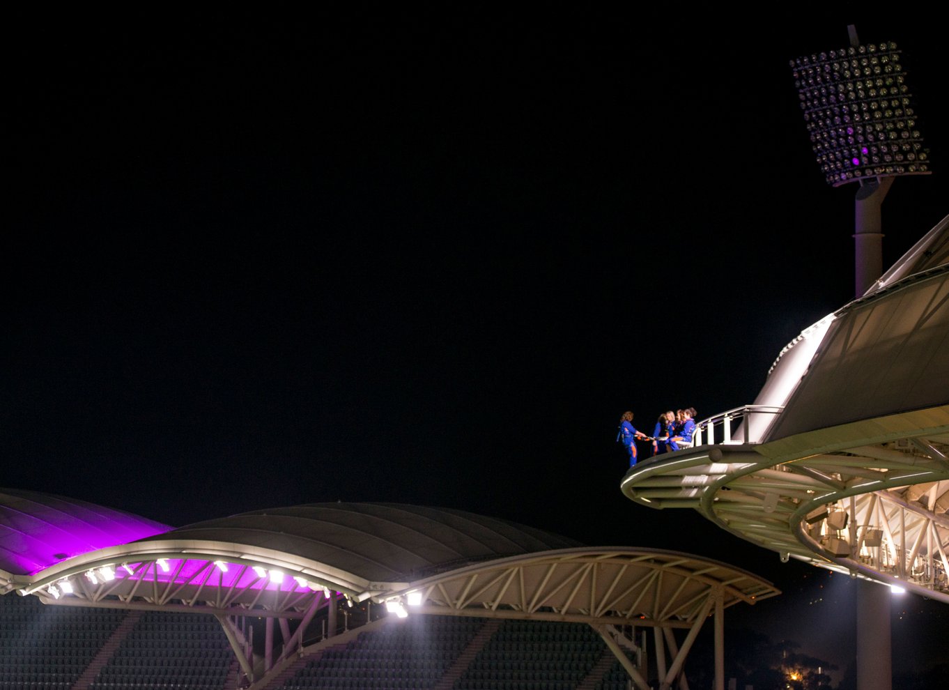 Adelaide: Rooftop Climbing Experience af Adelaide Oval