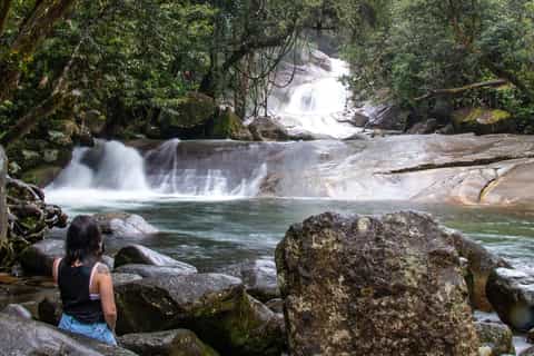 Cairns: Wooroonooran Rain Forest Full-Day Safari