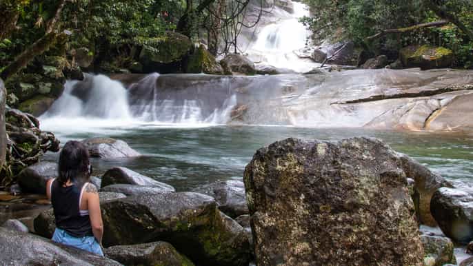 cairns wooroonooran rain forest fullday safari
