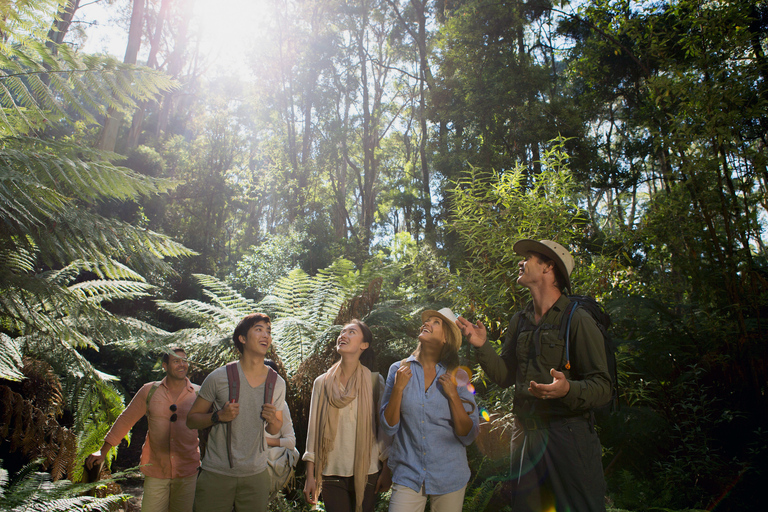 Ab Melbourne: Tagesausflug Great Ocean Road mit Mittagessen