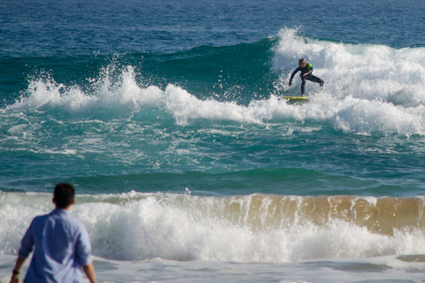 Z Melbourne: jednodniowa wycieczka Great Ocean Road z lunchem