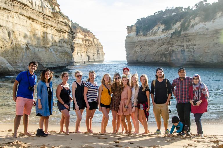 From Melbourne: Reverse Great Ocean Road Day Trip with Lunch