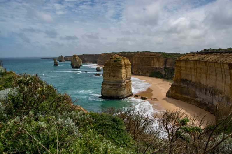 From Melbourne: Reverse Great Ocean Road Day Trip with Lunch