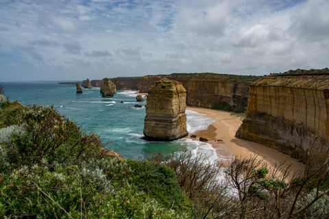 Vanuit Melbourne: Great Ocean Road-dagtrip in omgekeerde richting met lunch