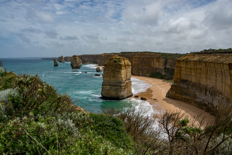 From Melbourne: Reverse Great Ocean Road Day Trip with Lunch