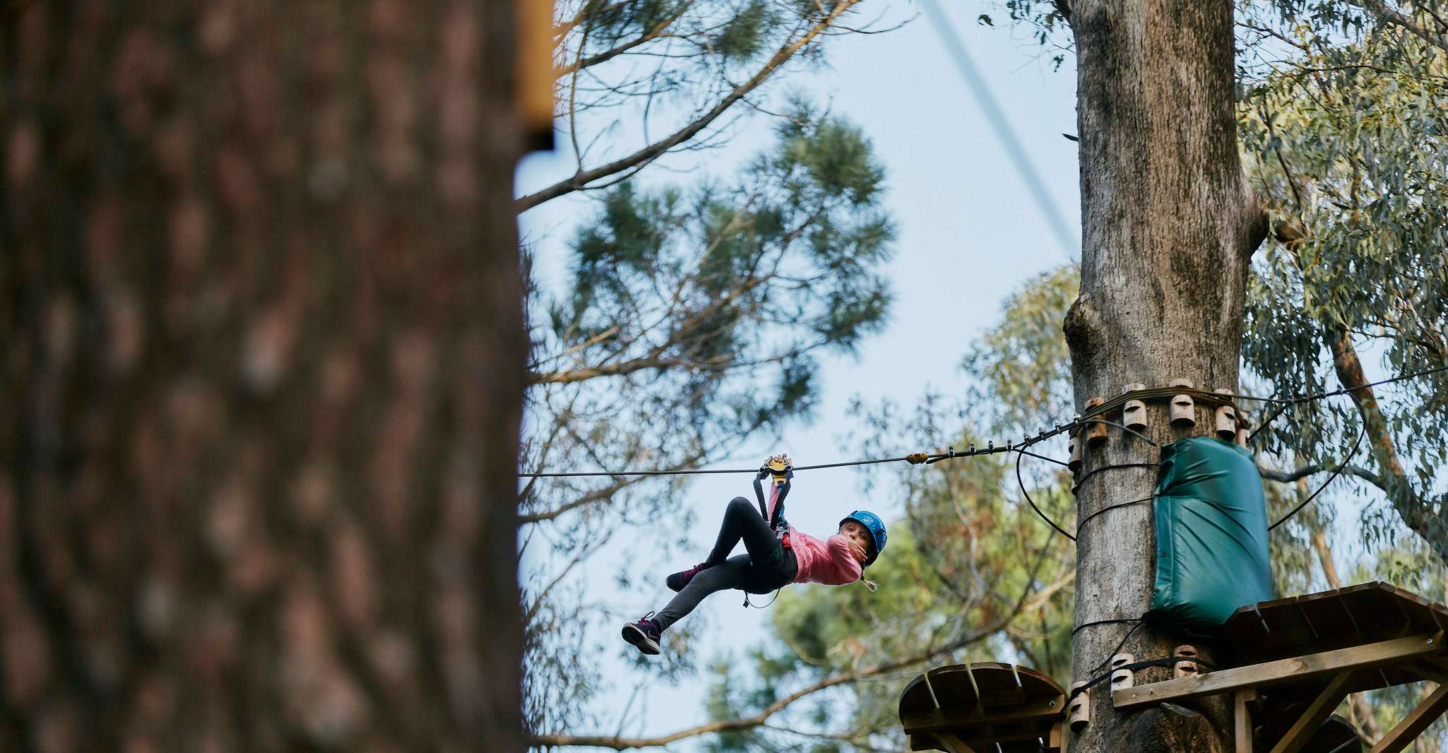 Busselton, Forest Adventure with Zip Lining and Rope Course - Housity