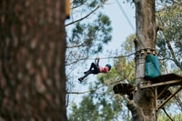 Busselton, Forest Adventure met zip voering en touwbaan - Housity